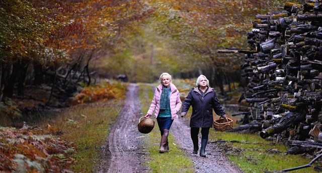 EFTERÅR I BOURGOGNE_slide_poster